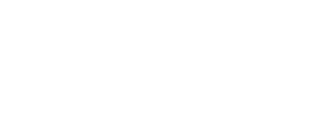 LibLeo Global